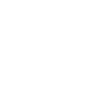 verita connect brand