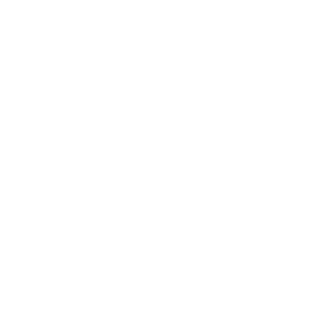 verita wisdom brand